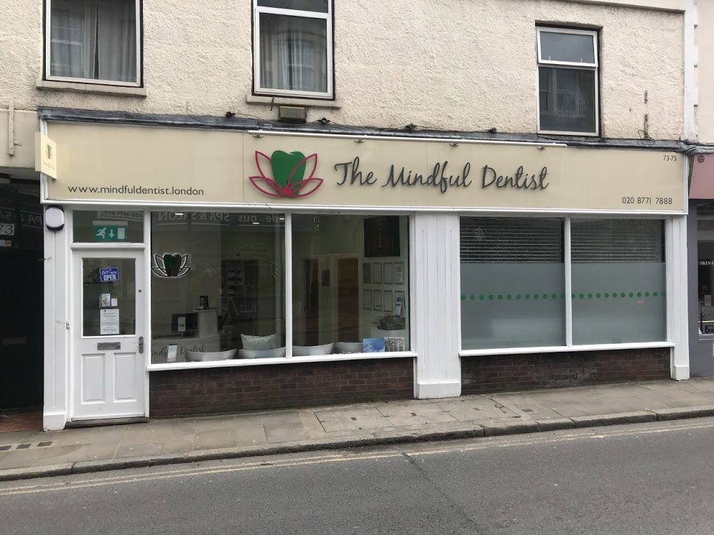 The Mindful Dentist